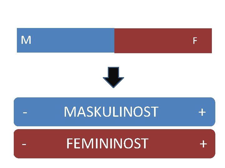 M F - MASKULINOST + - FEMININOST + 