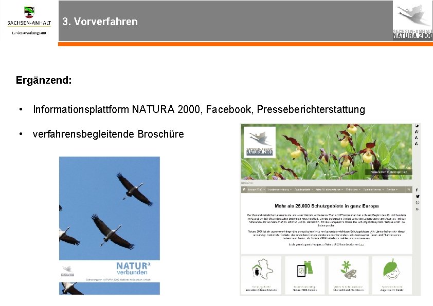 3. Vorverfahren Ergänzend: • Informationsplattform NATURA 2000, Facebook, Presseberichterstattung • verfahrensbegleitende Broschüre 