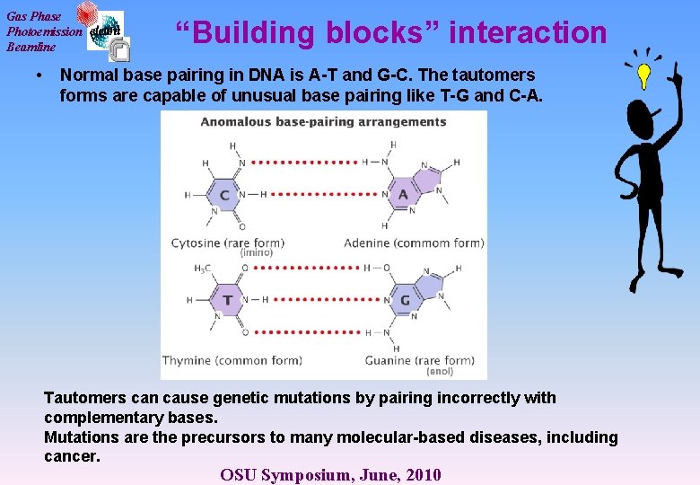 Gas Phase Photoemission Beamline • “Building blocks” interaction Normal base pairing in DNA is