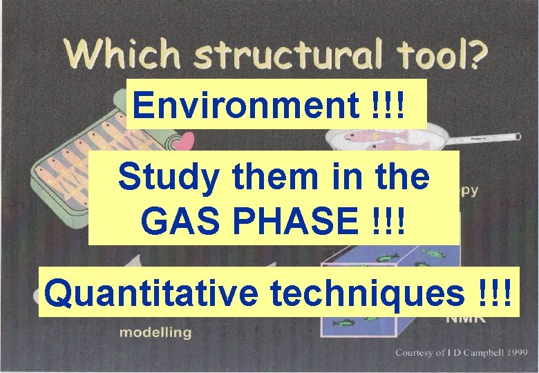 Gas Phase Photoemission Beamline Environment !!! Study them in the GAS PHASE !!! Quantitative