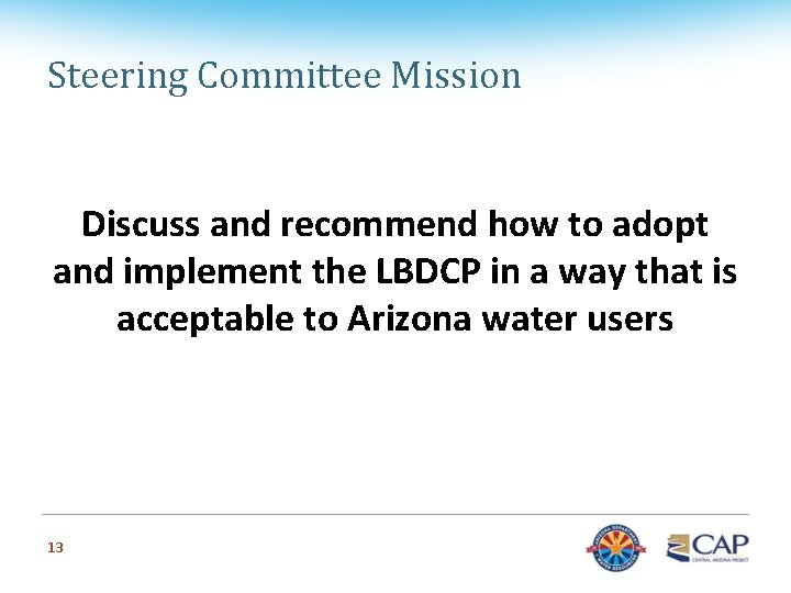 Steering Committee Mission Discuss and recommend how to adopt and implement the LBDCP in