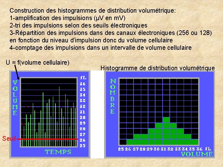Construction des histogrammes de distribution volumétrique: 1 -amplification des impulsions (µV en m. V) Construction des histogrammes de distribution volumétrique: 1 -amplification des impulsions (µV en m. V)