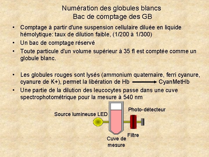 Numération des globules blancs Bac de comptage des GB • Comptage à partir d'une Numération des globules blancs Bac de comptage des GB • Comptage à partir d'une