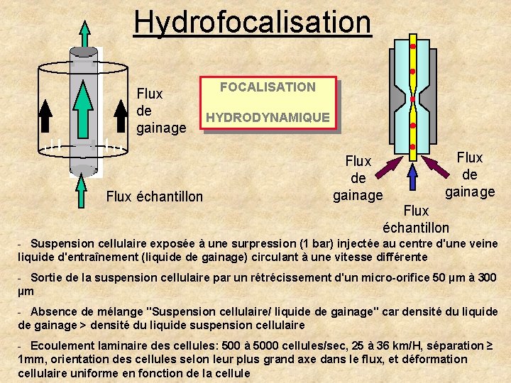 Hydrofocalisation Flux de gainage Flux échantillon FOCALISATION HYDRODYNAMIQUE Flux de gainage Flux échantillon - Hydrofocalisation Flux de gainage Flux échantillon FOCALISATION HYDRODYNAMIQUE Flux de gainage Flux échantillon -