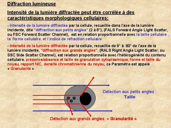 Diffraction lumineuse Intensité de la lumière diffractée peut être corrélée à des caractéristiques morphologiques Diffraction lumineuse Intensité de la lumière diffractée peut être corrélée à des caractéristiques morphologiques