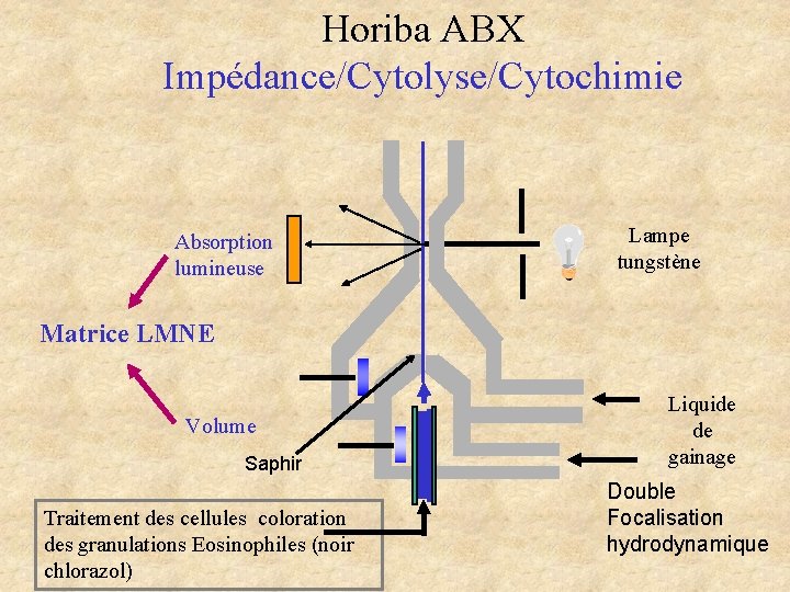 Horiba ABX Impédance/Cytolyse/Cytochimie Absorption lumineuse Lampe tungstène Matrice LMNE Volume Saphir Traitement des cellules Horiba ABX Impédance/Cytolyse/Cytochimie Absorption lumineuse Lampe tungstène Matrice LMNE Volume Saphir Traitement des cellules