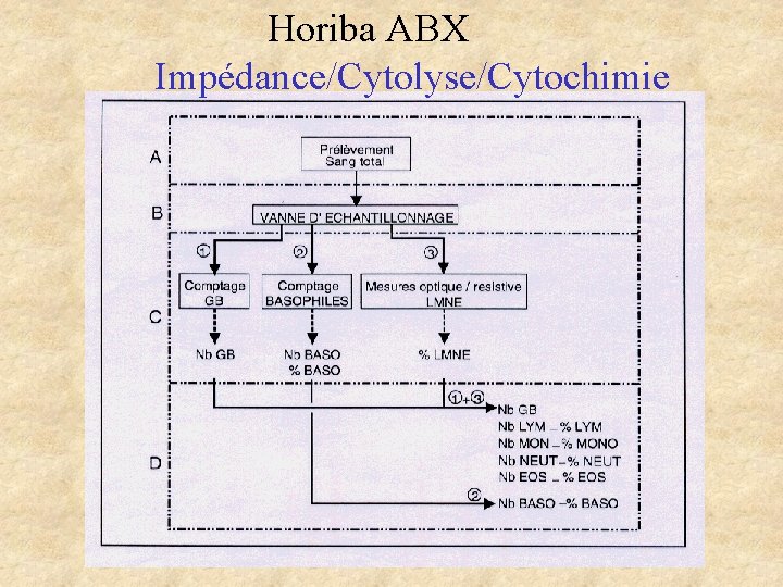 Horiba ABX Impédance/Cytolyse/Cytochimie Horiba ABX Impédance/Cytolyse/Cytochimie