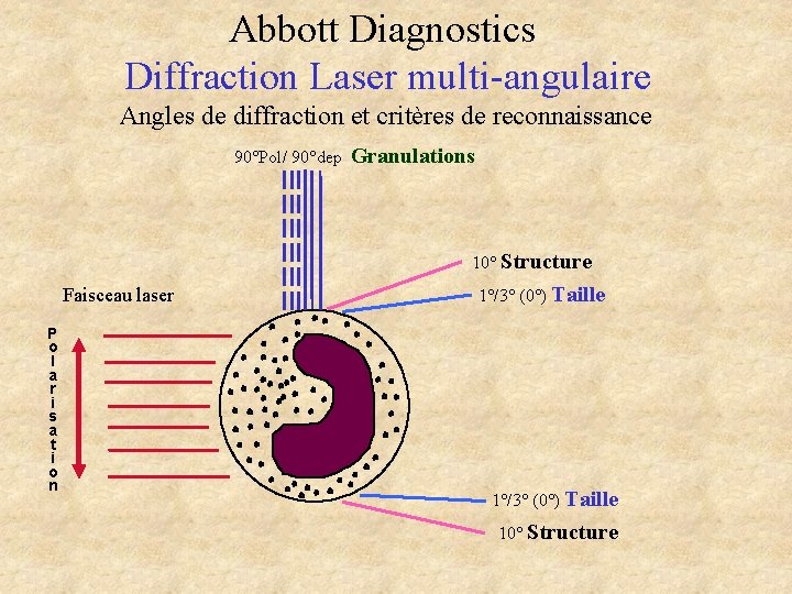 Abbott Diagnostics Diffraction Laser multi-angulaire Angles de diffraction et critères de reconnaissance 90°Pol/ 90°dep Abbott Diagnostics Diffraction Laser multi-angulaire Angles de diffraction et critères de reconnaissance 90°Pol/ 90°dep