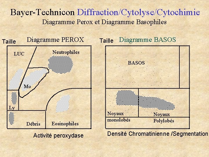 Bayer-Technicon Diffraction/Cytolyse/Cytochimie Diagramme Perox et Diagramme Basophiles Diagramme PEROX Taille Diagramme BASOS Taille Neutrophiles Bayer-Technicon Diffraction/Cytolyse/Cytochimie Diagramme Perox et Diagramme Basophiles Diagramme PEROX Taille Diagramme BASOS Taille Neutrophiles
