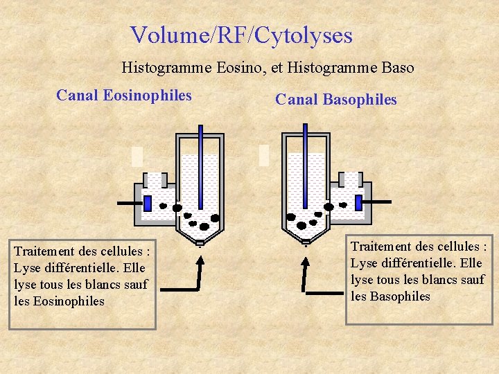 Volume/RF/Cytolyses Histogramme Eosino, et Histogramme Baso Canal Eosinophiles Traitement des cellules : Lyse différentielle. Volume/RF/Cytolyses Histogramme Eosino, et Histogramme Baso Canal Eosinophiles Traitement des cellules : Lyse différentielle.