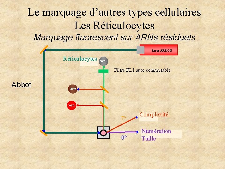 Le marquage d’autres types cellulaires Les Réticulocytes Marquage fluorescent sur ARNs résiduels Laser ARGON Le marquage d’autres types cellulaires Les Réticulocytes Marquage fluorescent sur ARNs résiduels Laser ARGON