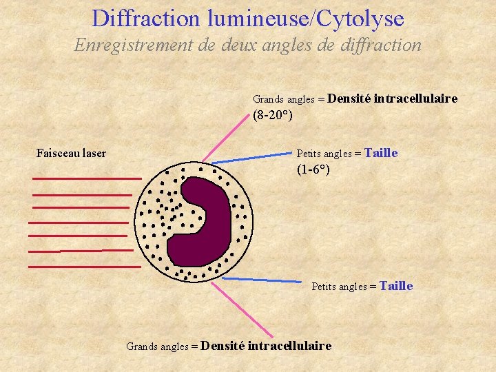Diffraction lumineuse/Cytolyse Enregistrement de deux angles de diffraction Grands angles = Densité intracellulaire (8 Diffraction lumineuse/Cytolyse Enregistrement de deux angles de diffraction Grands angles = Densité intracellulaire (8