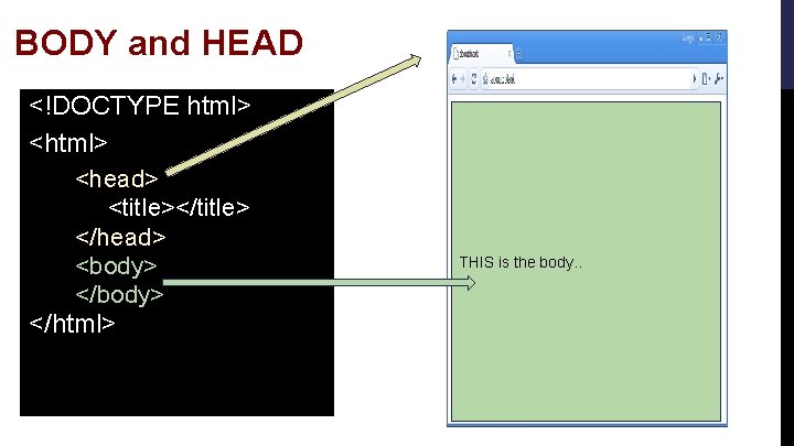 BODY and HEAD <!DOCTYPE html> <head> <title></title> </head> <body> </html> THIS is the body.