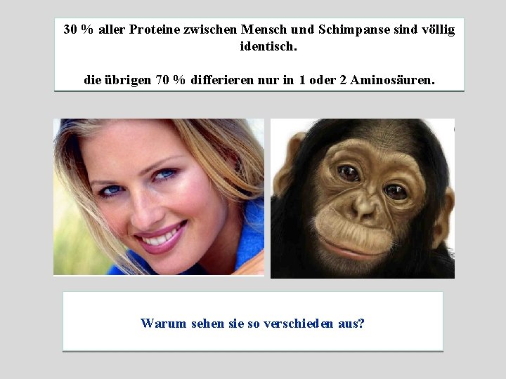 30 % aller Proteine zwischen Mensch und Schimpanse sind völlig identisch. die übrigen 70