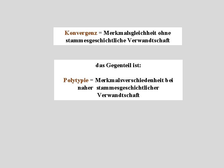 Konvergenz = Merkmalsgleichheit ohne stammesgeschichtliche Verwandtschaft das Gegenteil ist: Polytypie = Merkmalsverschiedenheit bei naher