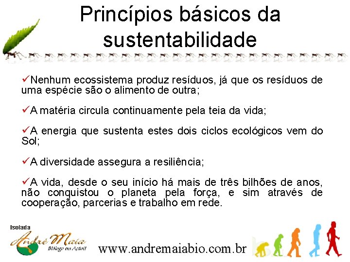 Princípios básicos da sustentabilidade üNenhum ecossistema produz resíduos, já que os resíduos de uma