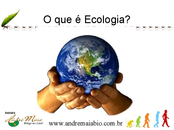 O que é Ecologia? www. andremaiabio. com. br 