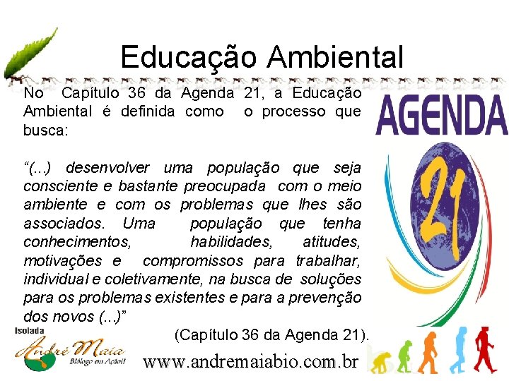 Educação Ambiental No Capítulo 36 da Agenda 21, a Educação Ambiental é definida como