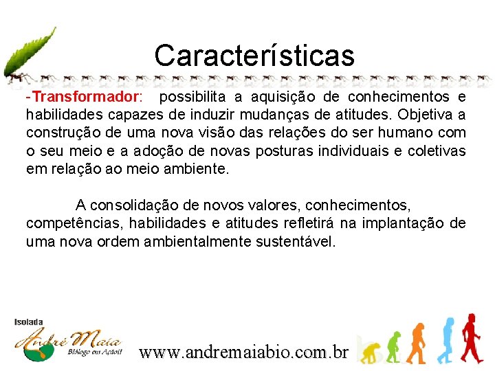 Características -Transformador: possibilita a aquisição de conhecimentos e habilidades capazes de induzir mudanças de