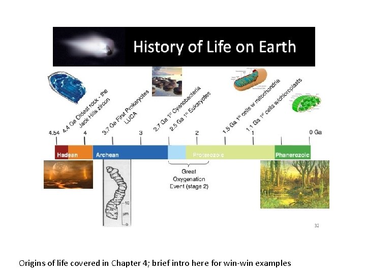 Origins of life covered in Chapter 4; brief intro here for win-win examples 