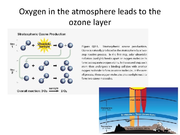 Oxygen in the atmosphere leads to the ozone layer 