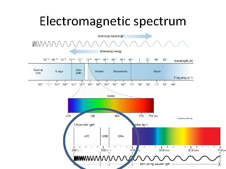 Electromagnetic spectrum 