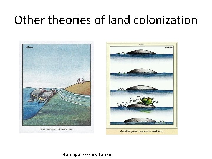 Other theories of land colonization Homage to Gary Larson 
