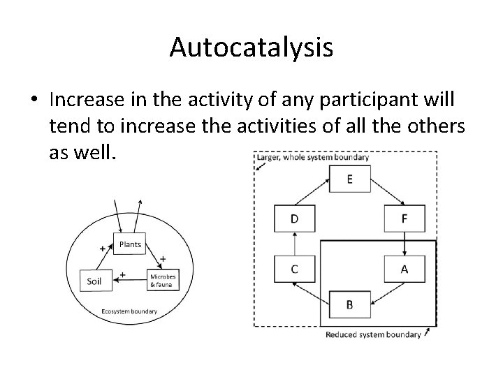 Autocatalysis • Increase in the activity of any participant will tend to increase the