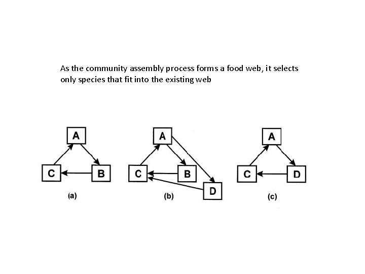 As the community assembly process forms a food web, it selects only species that