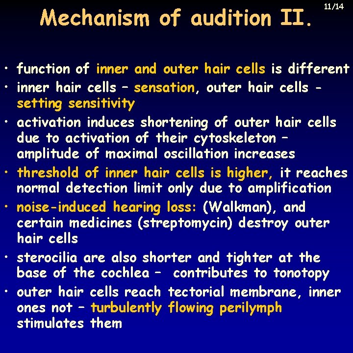 Mechanism of audition II. 11/14 • function of inner and outer hair cells is