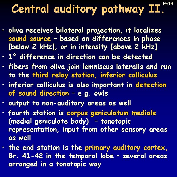 14/14 Central auditory pathway II. • oliva receives bilateral projection, it localizes sound source