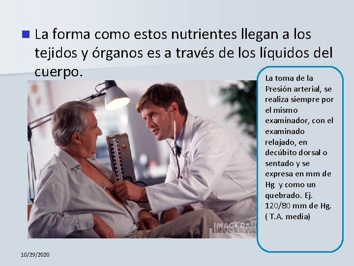 n La forma como estos nutrientes llegan a los tejidos y órganos es a