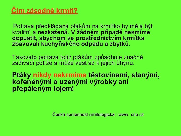 Čím zásadně krmit? Potrava předkládaná ptákům na krmítko by měla být kvalitní a nezkažená.