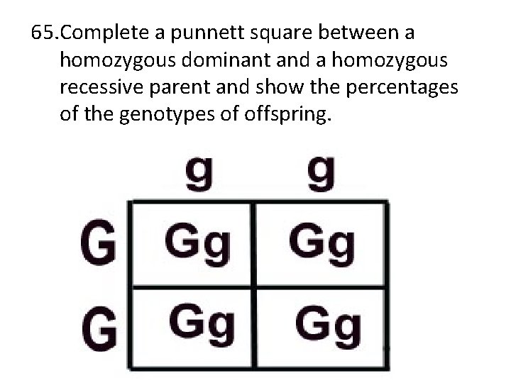 65. Complete a punnett square between a homozygous dominant and a homozygous recessive parent