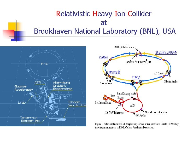 Relativistic Heavy Ion Collider at Brookhaven National Laboratory (BNL), USA World’s First Heavy Ion