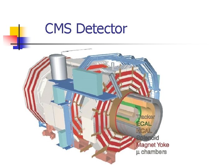 CMS Detector 