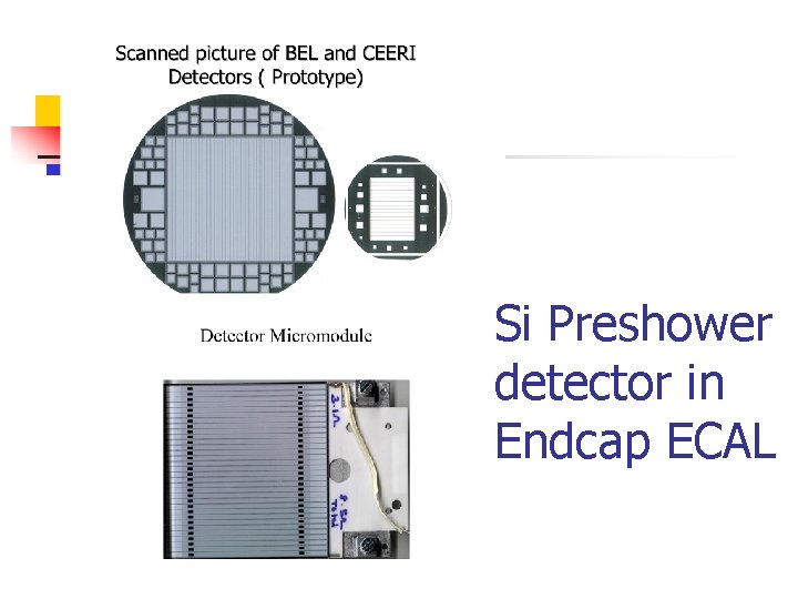 Si Preshower detector in Endcap ECAL 