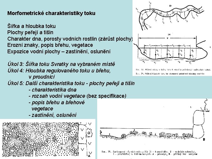 Morfometrické charakteristiky toku Šířka a hloubka toku Plochy peřejí a tišin Charakter dna, porosty