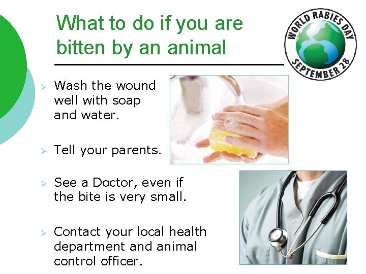 What to do if you are bitten by an animal Ø Wash the wound