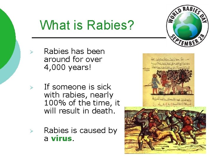 What is Rabies? Ø Rabies has been around for over 4, 000 years! Ø