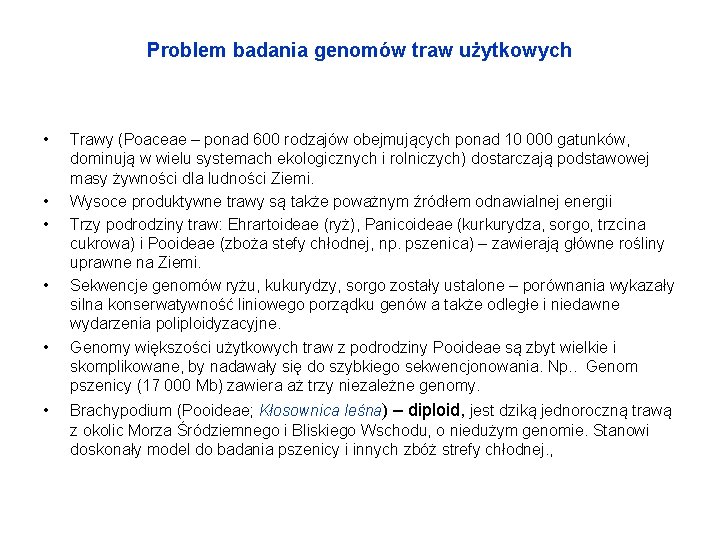 Problem badania genomów traw użytkowych • • • Trawy (Poaceae – ponad 600 rodzajów