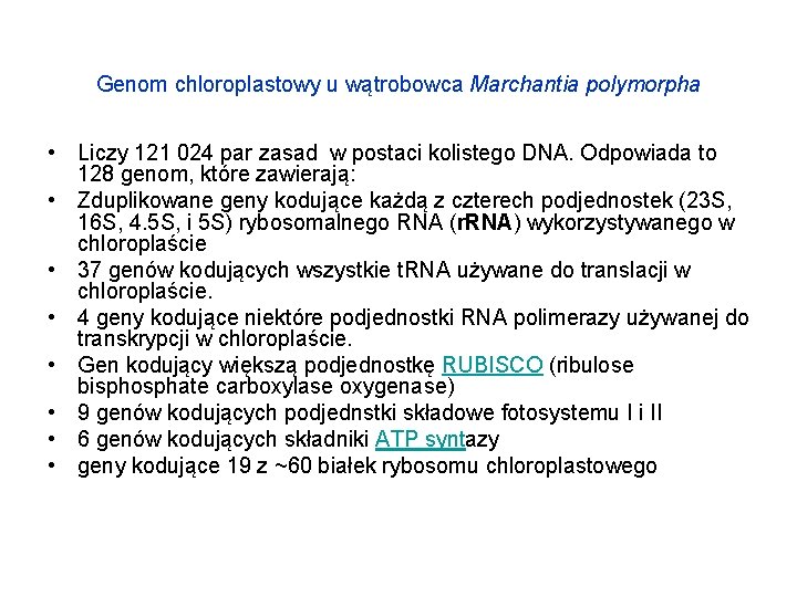 Genom chloroplastowy u wątrobowca Marchantia polymorpha • Liczy 121 024 par zasad w postaci