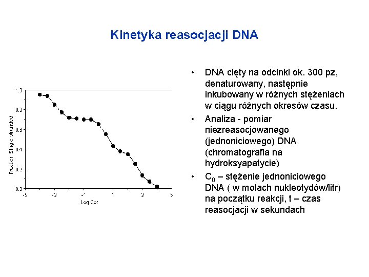 Kinetyka reasocjacji DNA • • • DNA cięty na odcinki ok. 300 pz, denaturowany,