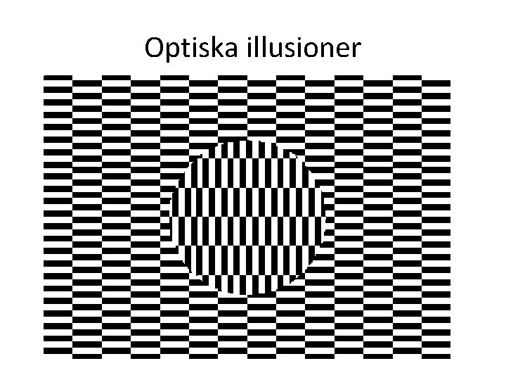 Optiska illusioner 