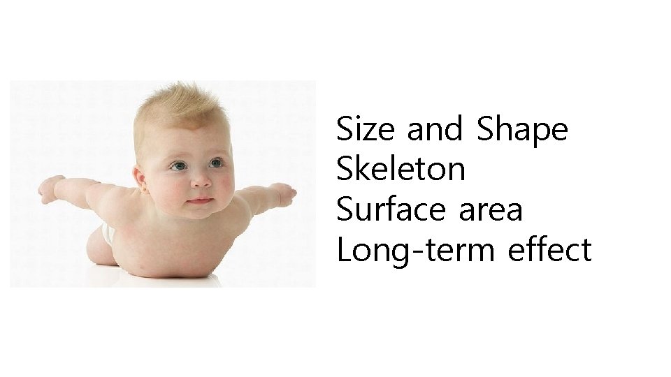 Size and Shape Skeleton Surface area Long-term effect 