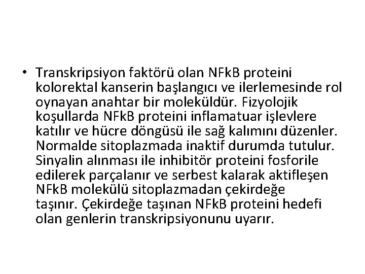  • Transkripsiyon faktörü olan NFk. B proteini kolorektal kanserin başlangıcı ve ilerlemesinde rol