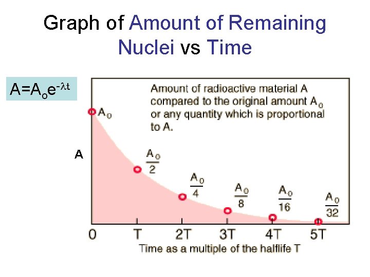 Graph of Amount of Remaining Nuclei vs Time A=Aoe-lt A 