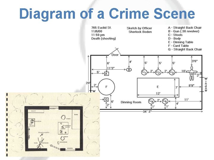 Diagram of a Crime Scene 