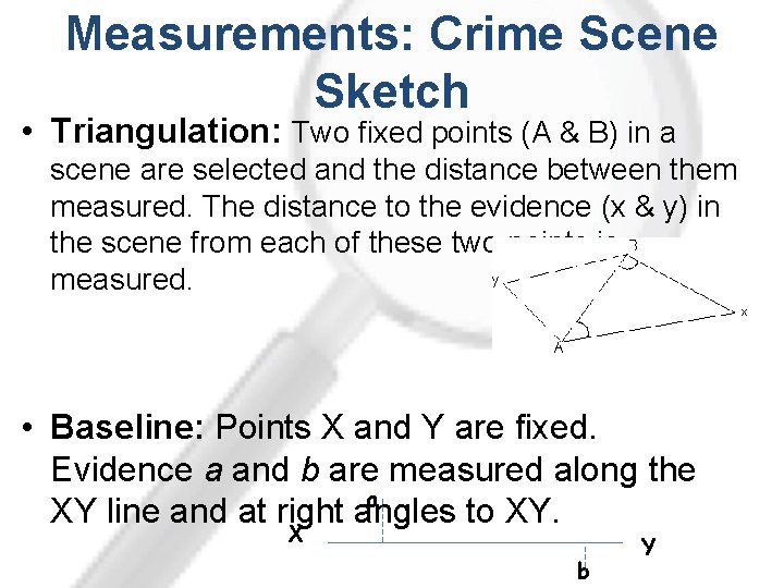 Measurements: Crime Scene Sketch • Triangulation: Two fixed points (A & B) in a