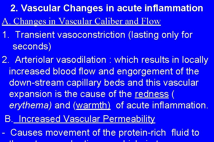 2. Vascular Changes in acute inflammation A. Changes in Vascular Caliber and Flow 1.
